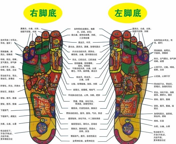 脚部穴位图