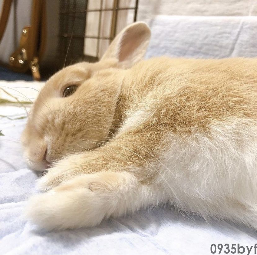 脚气脚臭如何有效处理?(图1) 脚气脚臭如何有效处理?