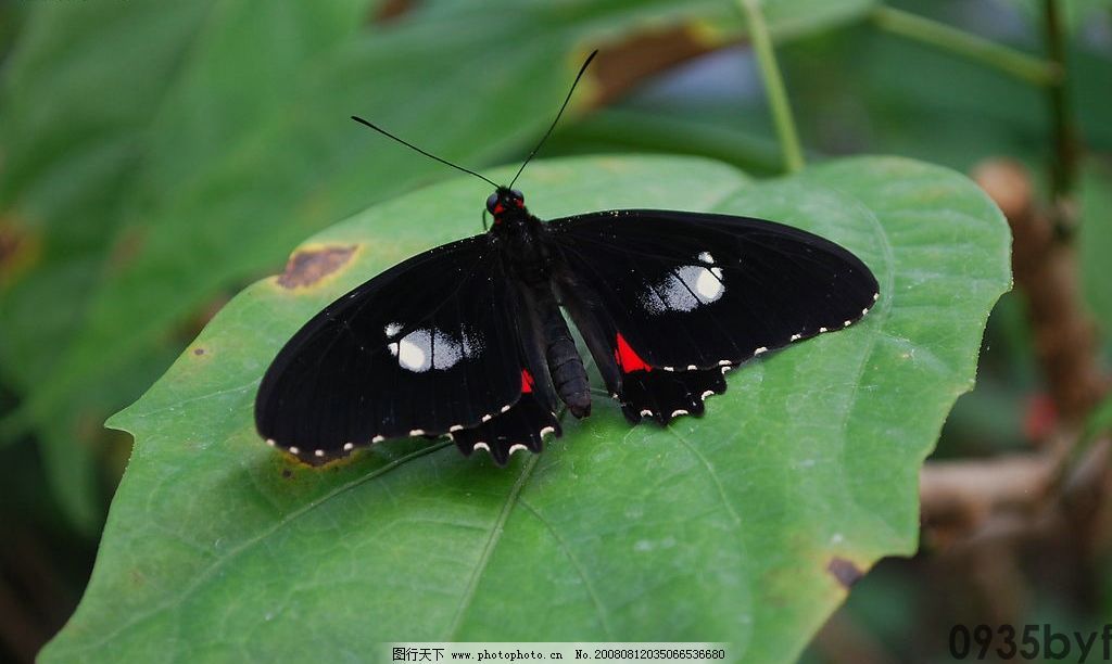 脚起红斑(图1) 脚起红斑