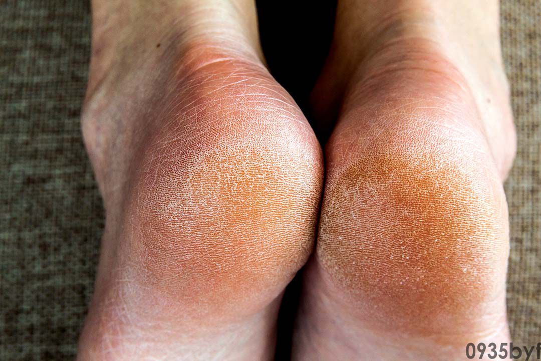 国产动漫开局地摊卖大力