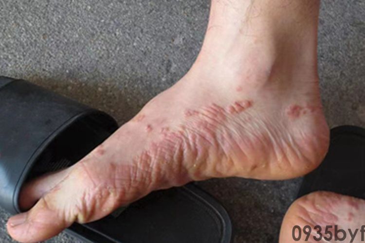 末日骑士][1080p][全6集已完结][韩语丨内嵌官方中字][影视分享屋]