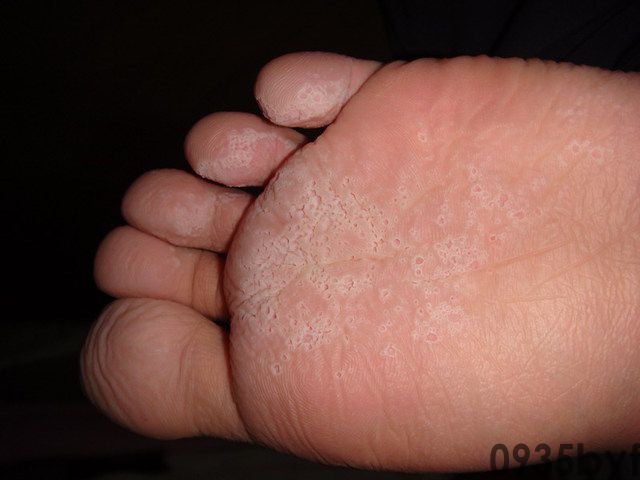 之家第四季(图1) 之家第四季