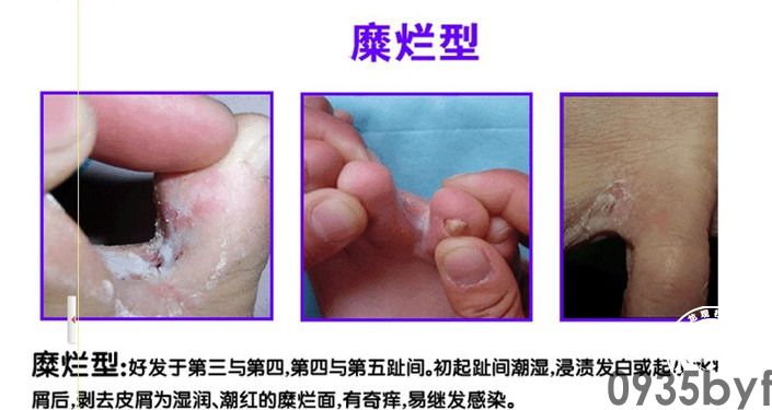 《之家第十四季》15