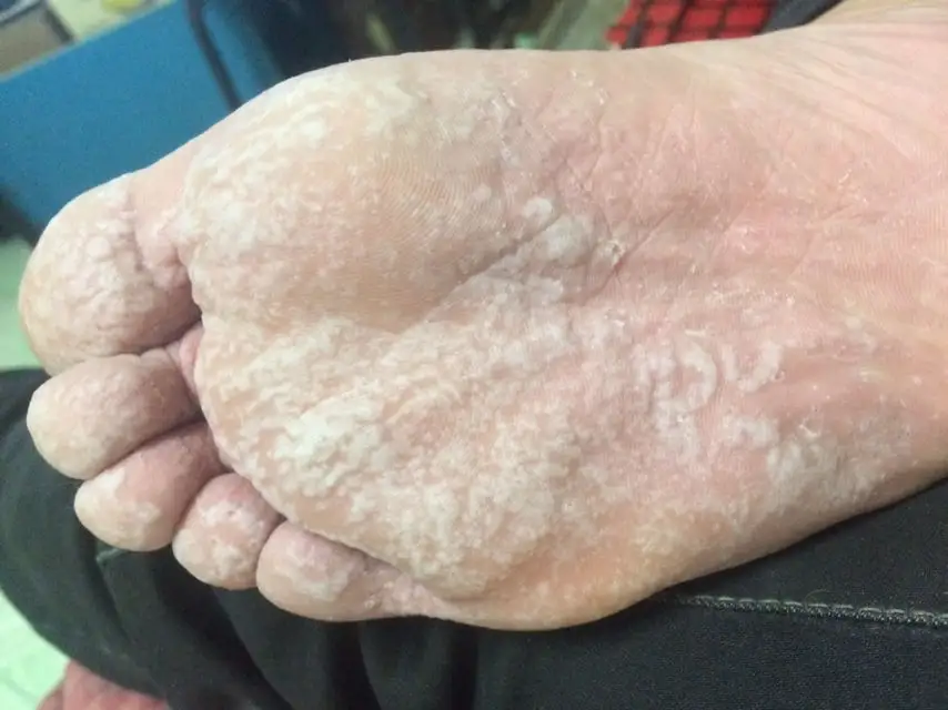 资讯中间：科普常识快科技