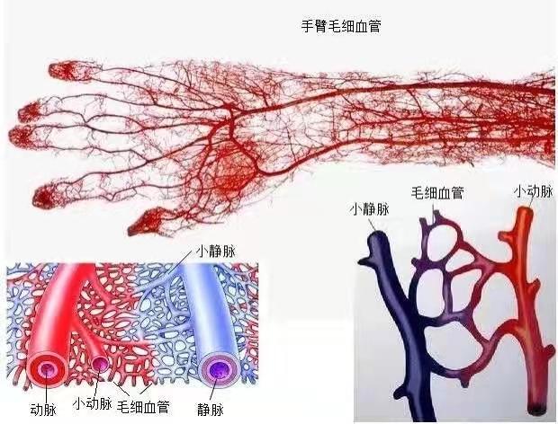 足部微循环不畅脱皮改善