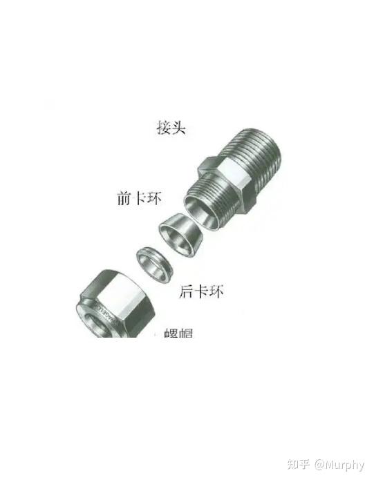 戒掉长期穿封闭鞋履