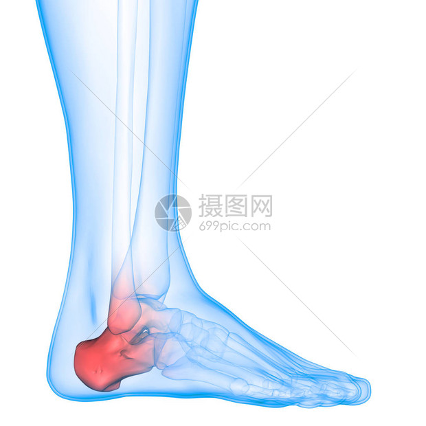 脚部异味鞋胶材质散发异味