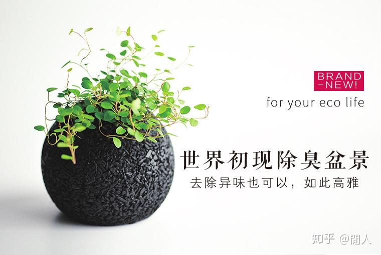 如何利用天然植物除臭包