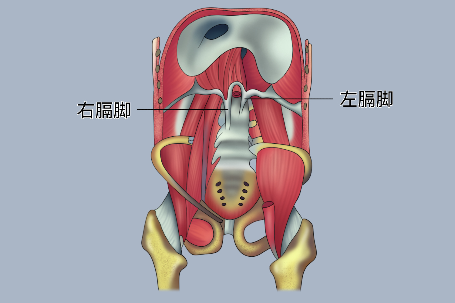 脚部水疱湿疹急性发作爆泡