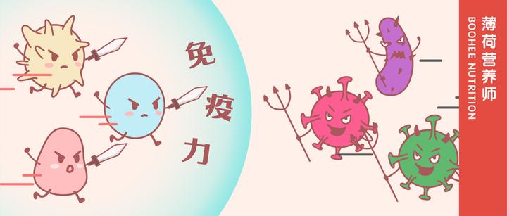 免疫力差红斑增强免疫调理